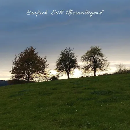 Naturnah Am Aartalsee * Bischoffen