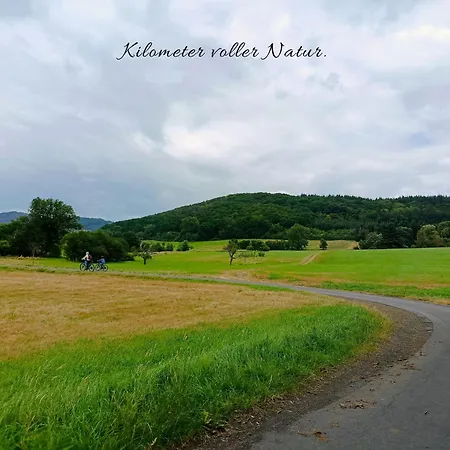 Naturnah Am Aartalsee